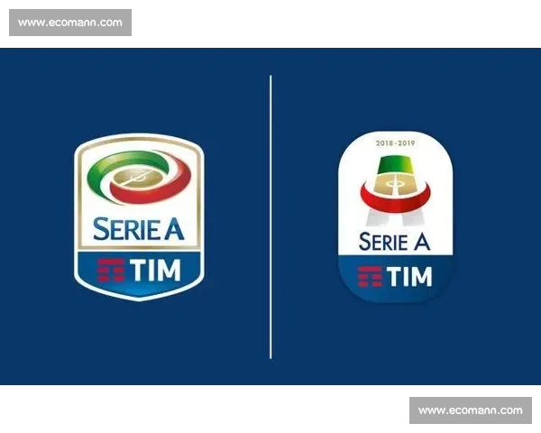 意甲平台入口最新指南球迷安全访问与赛事信息一站式导航权威实时