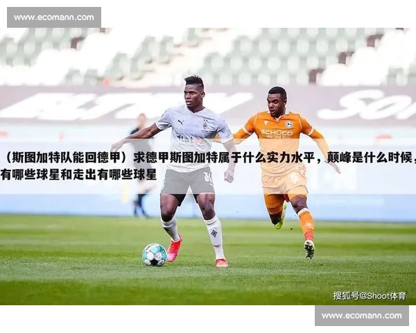 体育资讯手机版全新升级功能上线覆盖赛事直播比分分析快讯