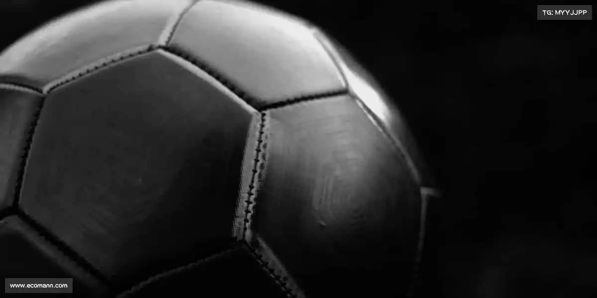 我们的品牌价值